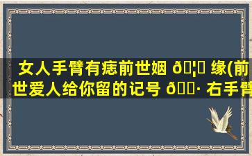 女人手臂有痣前世姻 🦁 缘(前世爱人给你留的记号 🌷 右手臂有痣)
